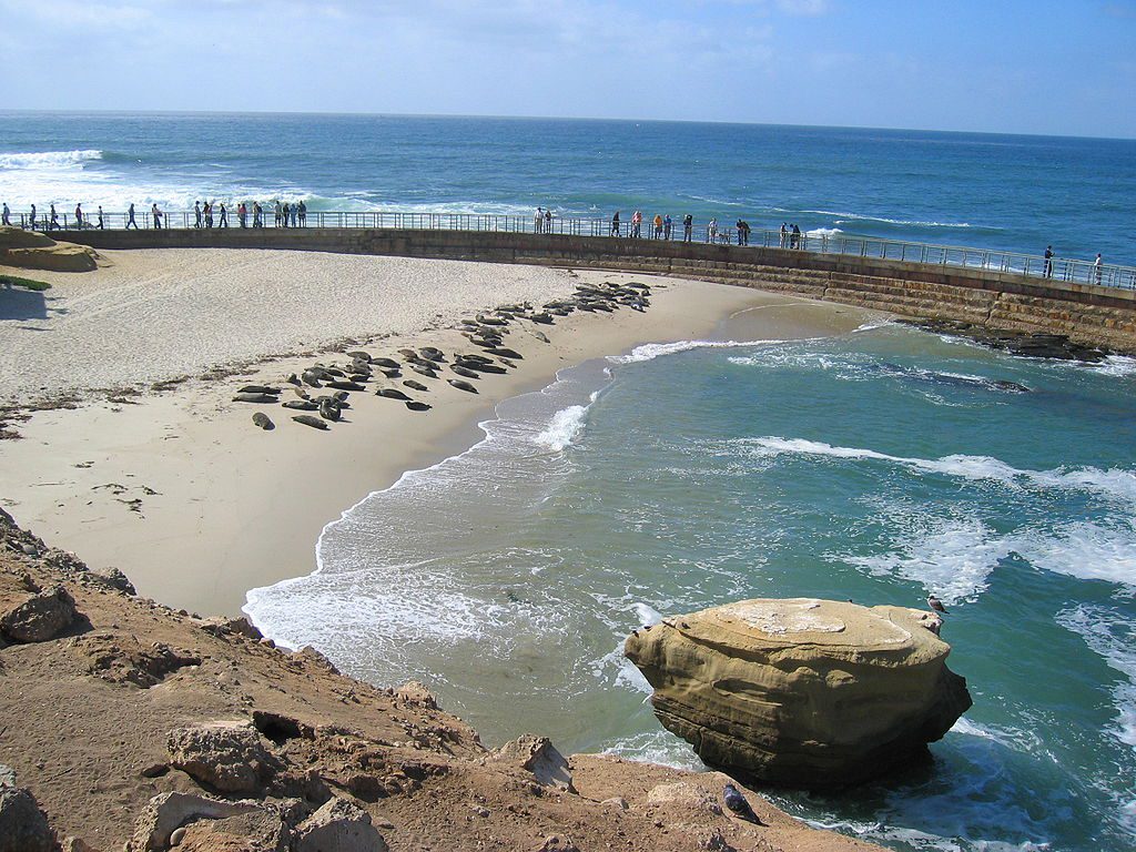 arched sea wall at the children's pool La Jolla with a large group of napping seals on the beach