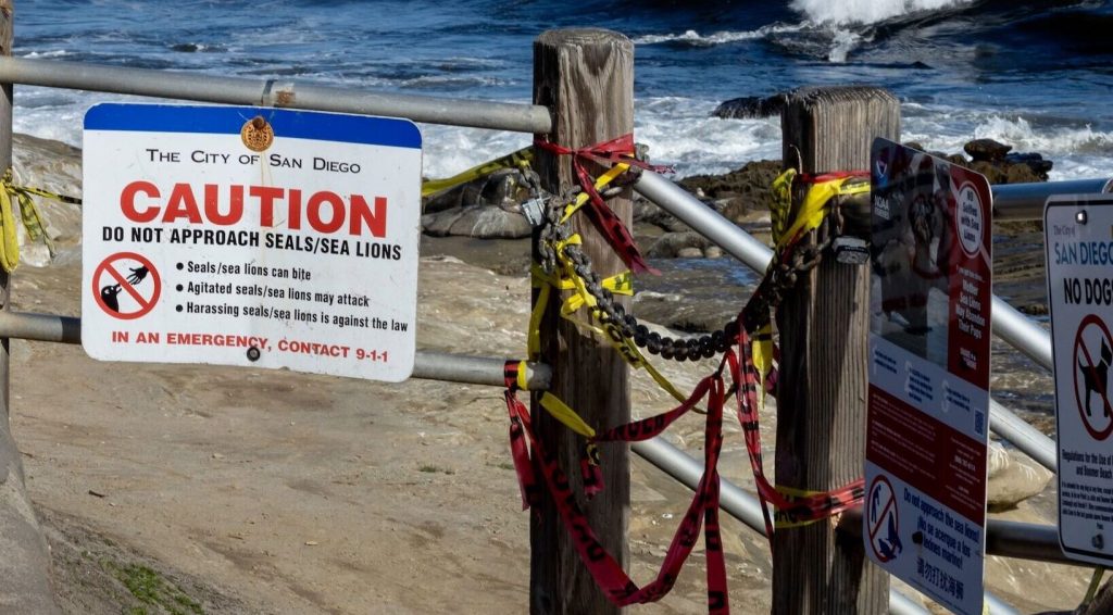 caution sign, red and yellow caution tape, and a chain warn visitors about closure of the point La Jolla area