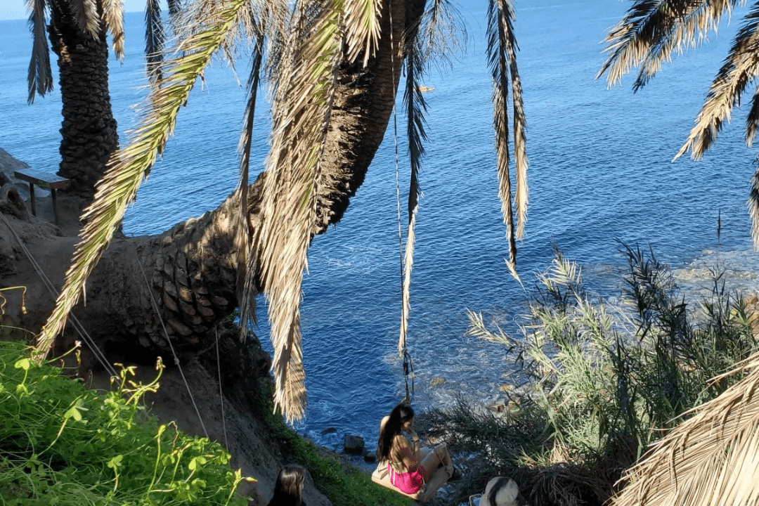 girl riding la jollas secret swing which hangs from a curved palm tree overlooking La Jolla cove