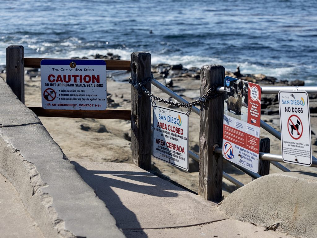 Blocked staircase and signage posted at Point La Jolla informs visitors the area is closed amid the sea lion pupping season while cautioning against approaching the seals and sea lions. California Coastal Commission recommends stronger verbiage in new signage moving into the year-round closure.