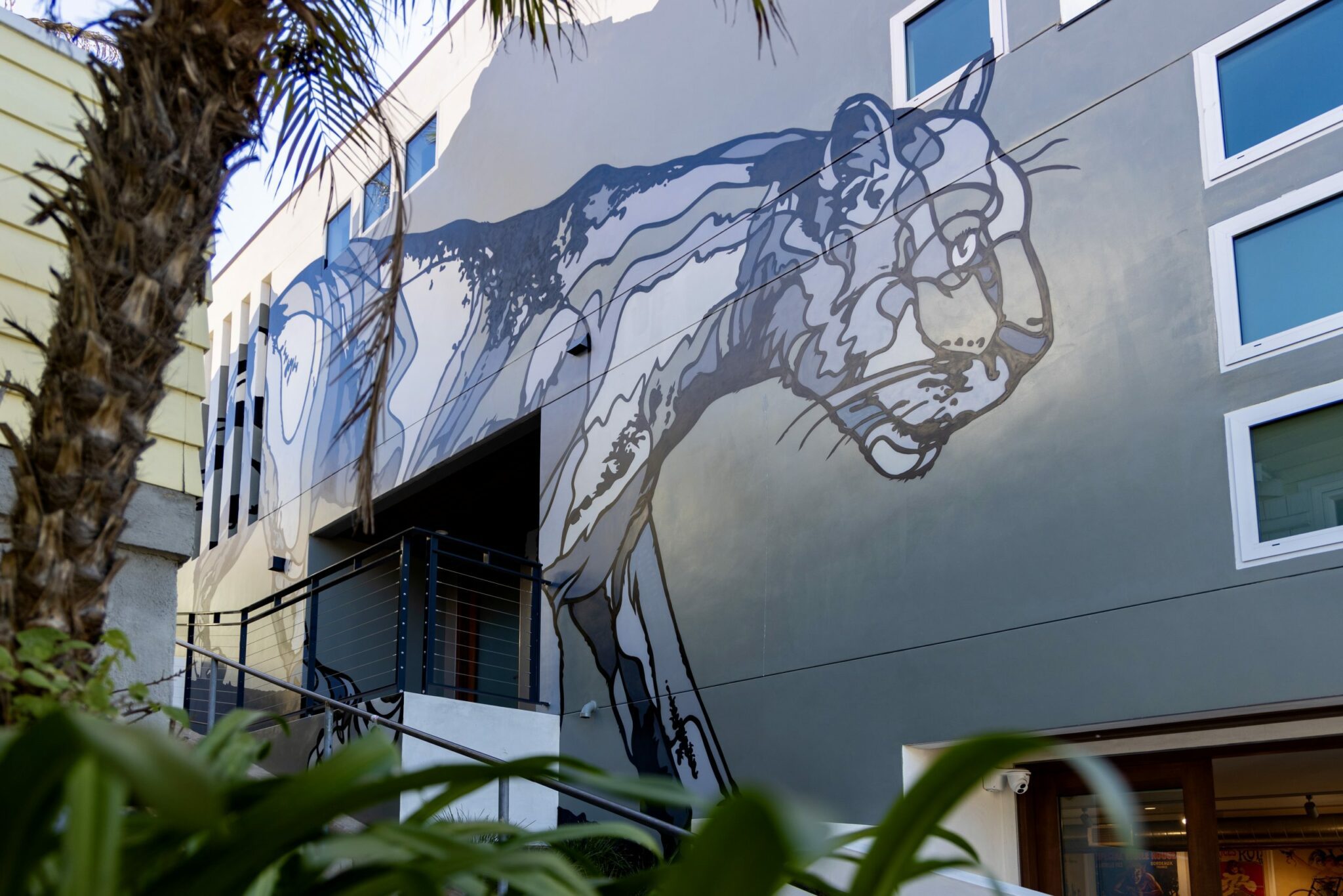 new mural on exterior of authentic vintage posters shop in La Jolla of famed lion P-22.