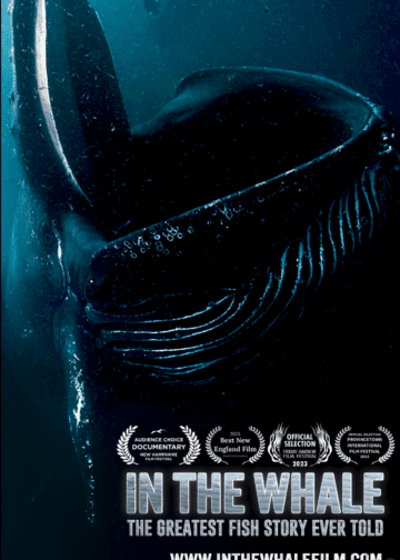BlueWaterFilmFestivalInTheWhale