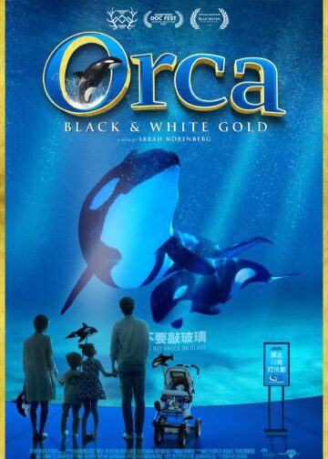 film poster for 'Orca' features three orca whales in an enclosure while a family looks at them through the glass. film to be shown at the blue water film festival