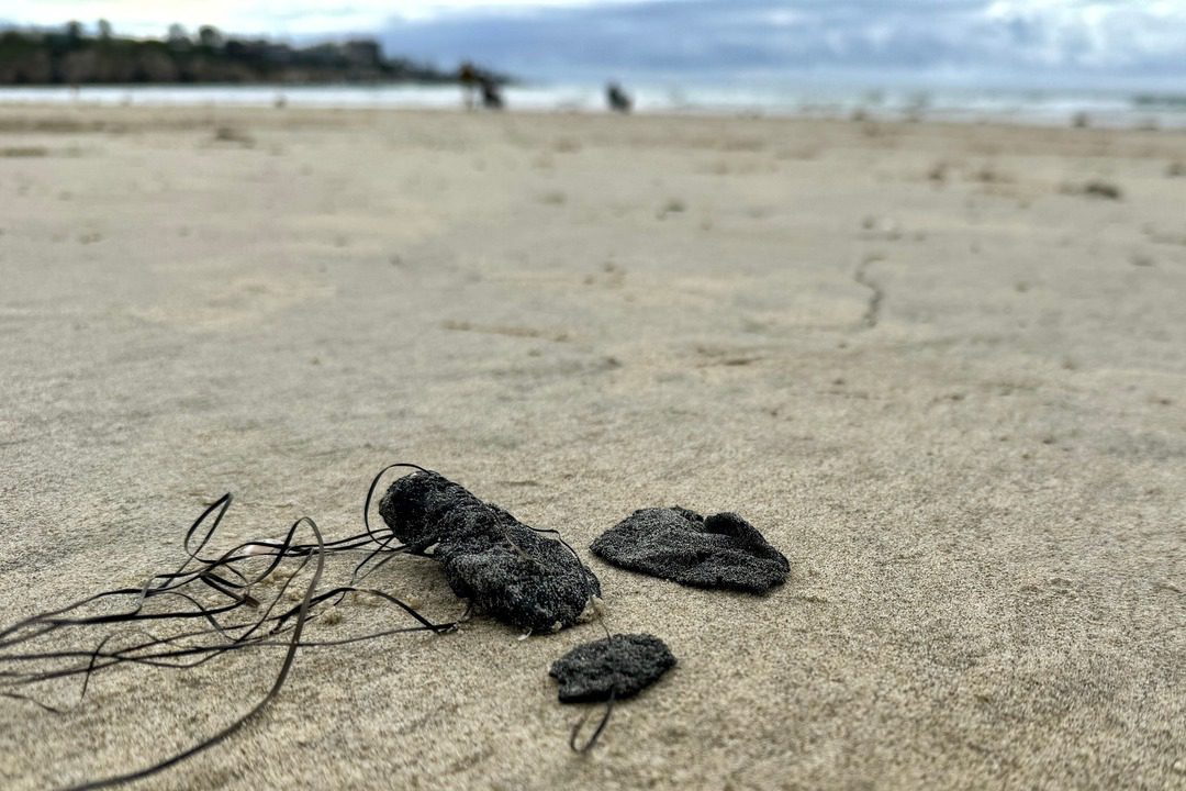 three chunks of black tar washed up on La Jolla shores beach, tide is low.