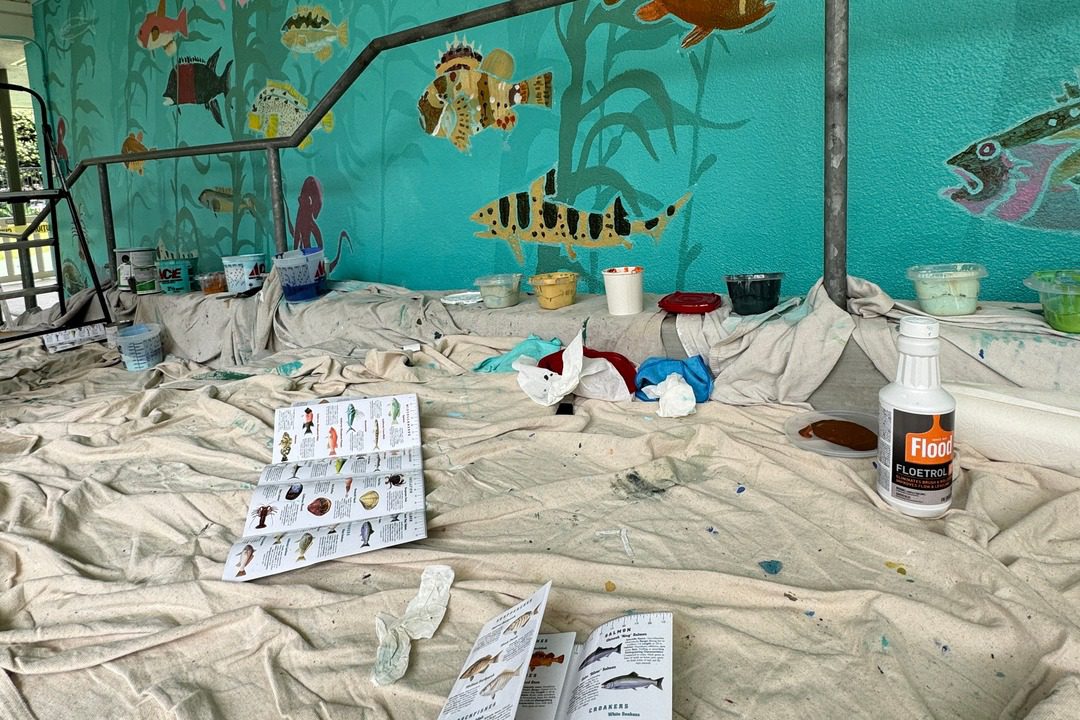 pamphlets of various underwater creatures lays before the in progress mural at the children's school