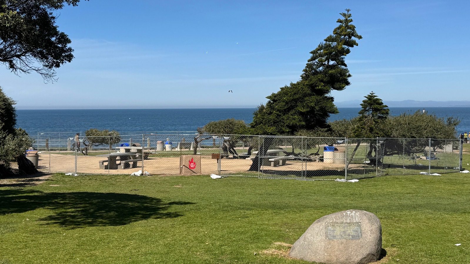 A fenced-off picnic grove at Scripps Park in La Jolla, undergoing renovations with new surface material. The ocean and a clear blue sky are visible in the background, along with picnic tables, trash bins, and a distinctively shaped tree. A stone plaque is present in the foreground on a grassy lawn.