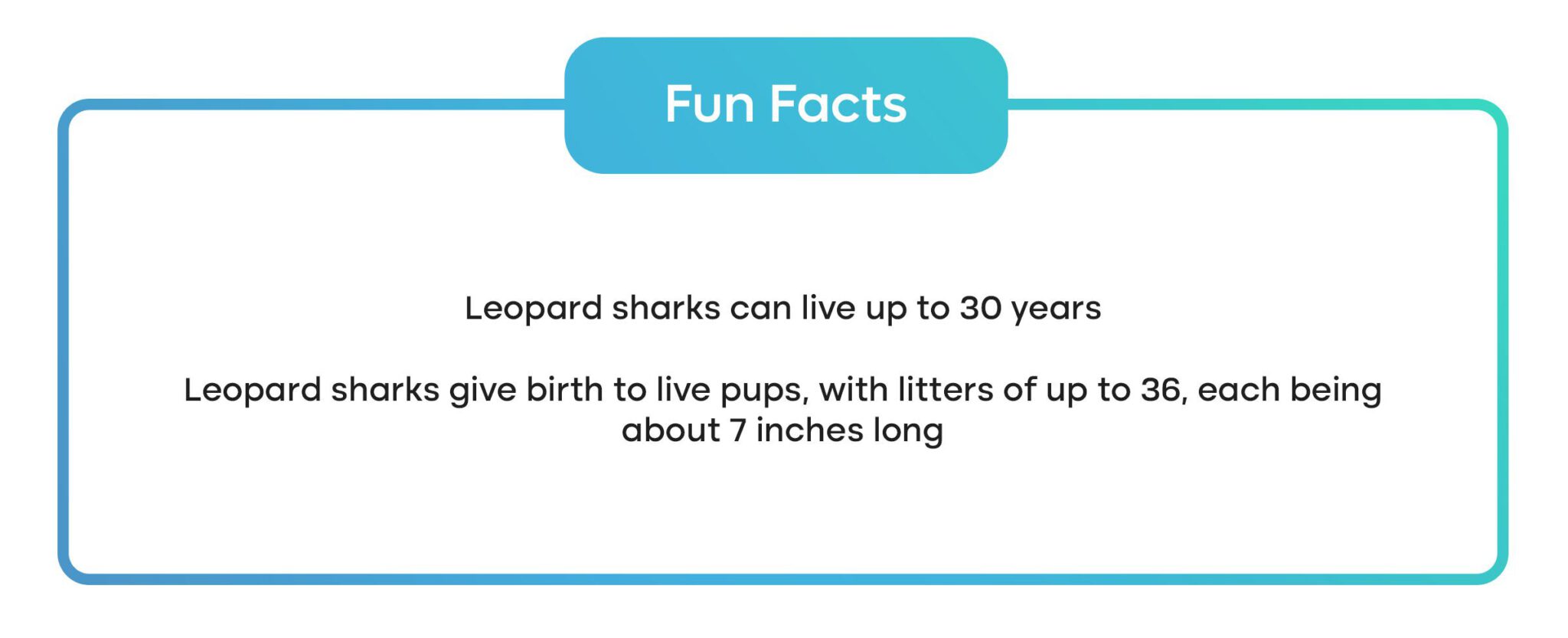 two fun facts about leopard sharks