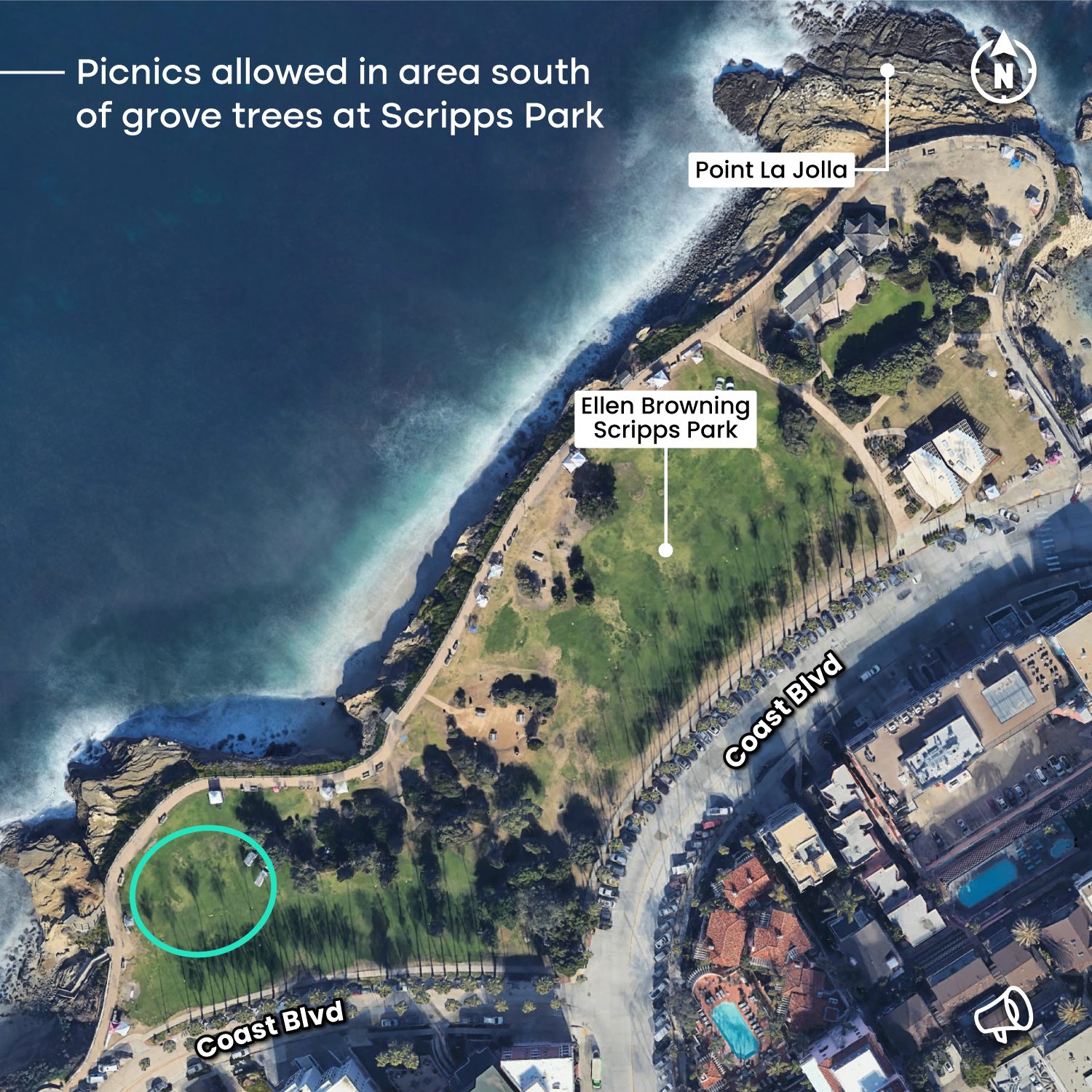 LuxuryPicnicsScrippsPark.jpg