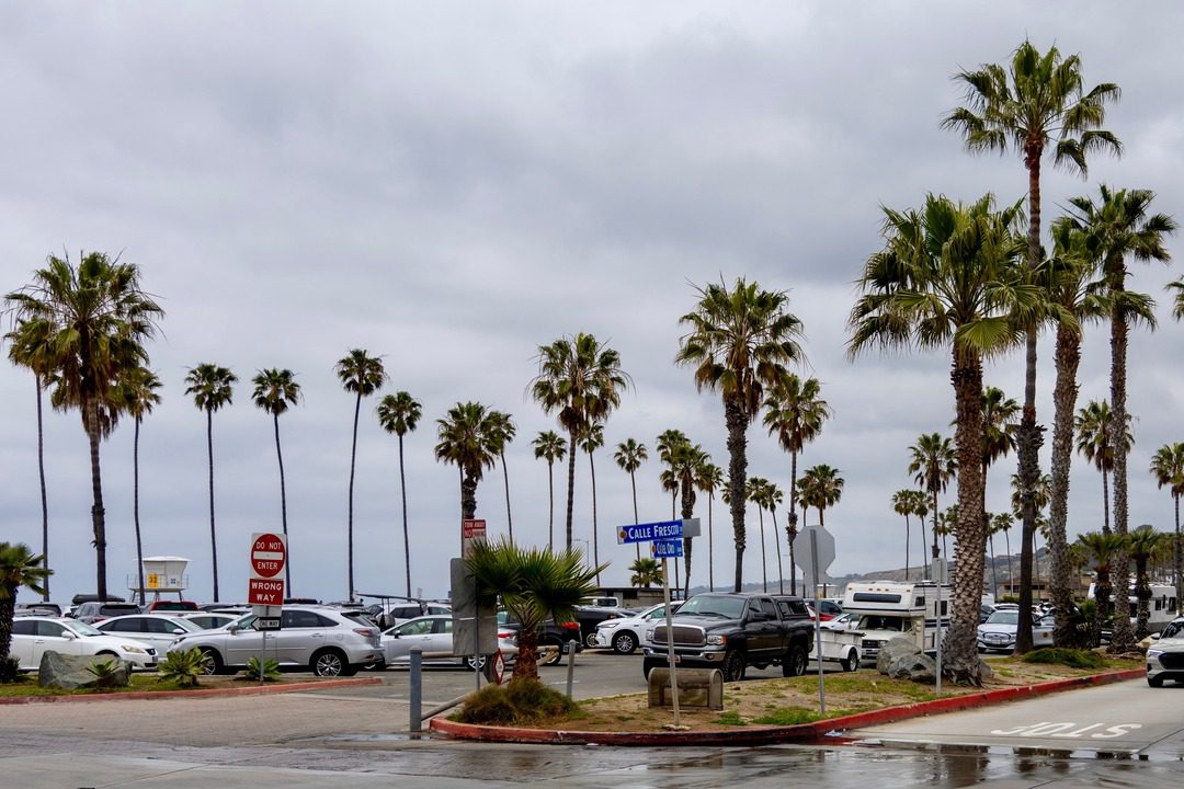 La Jolla parking lot near the shoreline on a cloudy day, filled with cars and surrounded by tall palm trees, with a street sign reading 'Calle Frescota' and a 'Do Not Enter' sign visible.