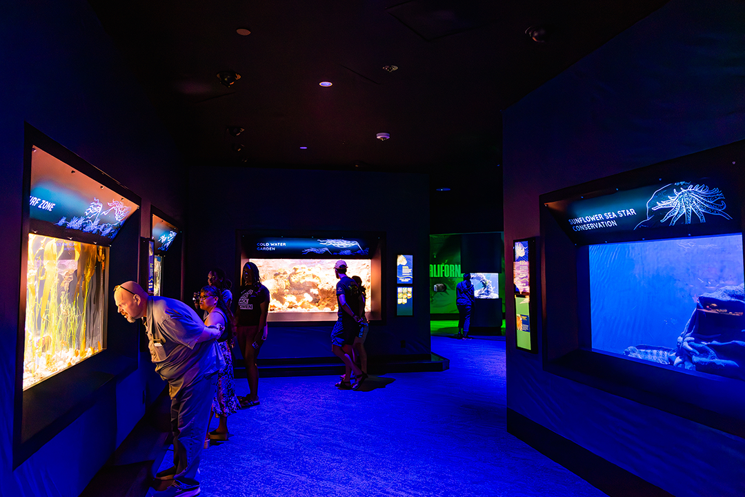 living-seas-exhibit-birch-aquarium