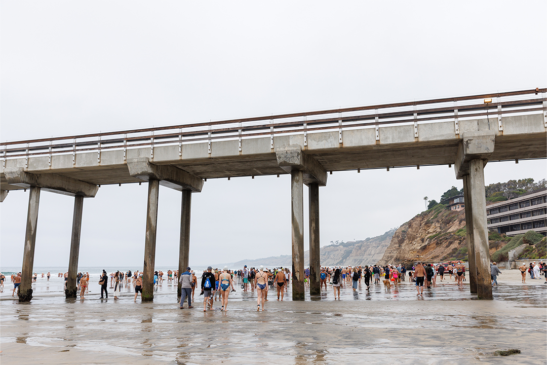 pier-to-cove-swim-under-scripps