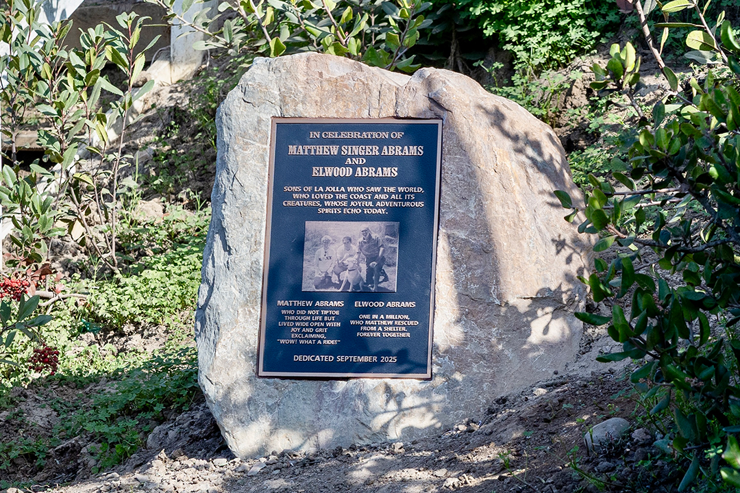 coast-walk-trail-abrams-rock
