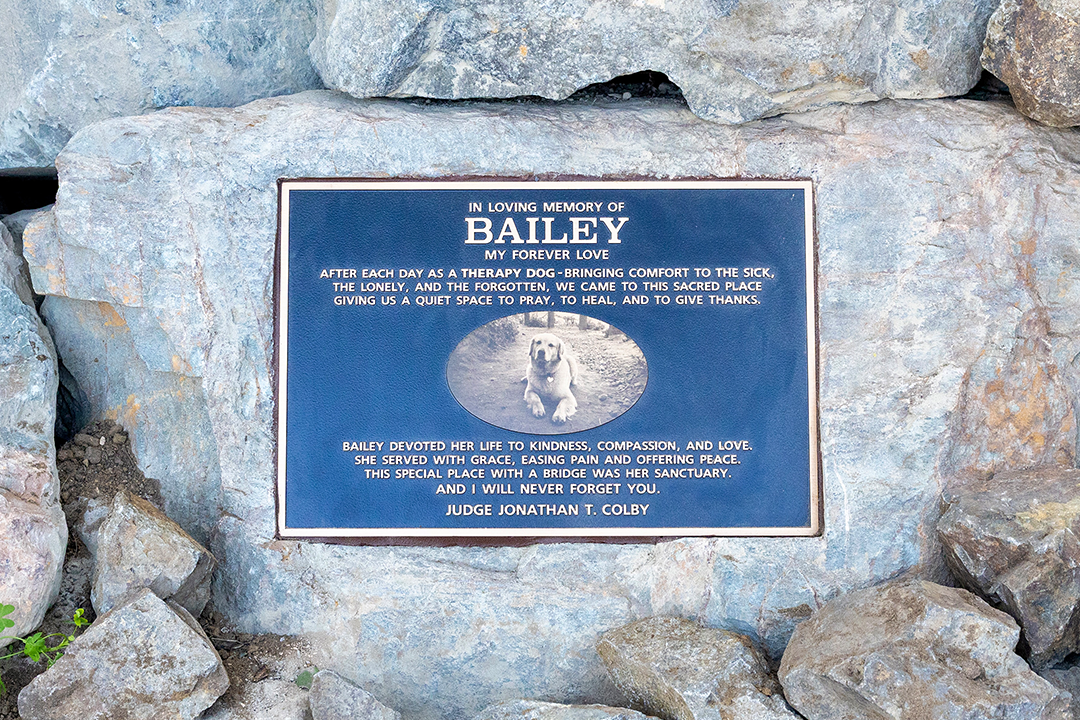 coast-walk-trail-la-jolla-in-memory