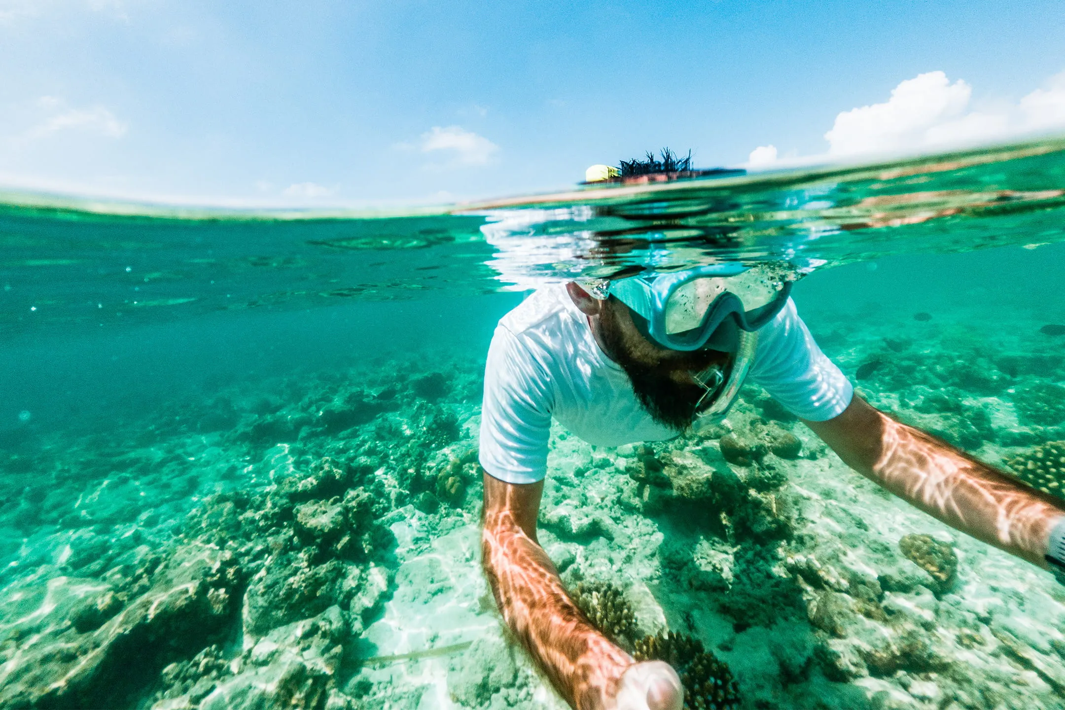 A snorkeler floats face-down at the water's surface, mask and snorkel visible, looking down at a shallow reef of rocky coral below — a scene typical of snorkeling in La Jolla's clear coastal waters.