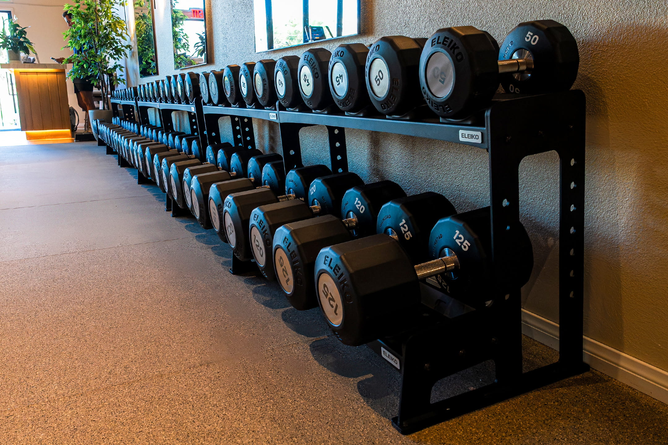 bird-rock-athletic-club-weights